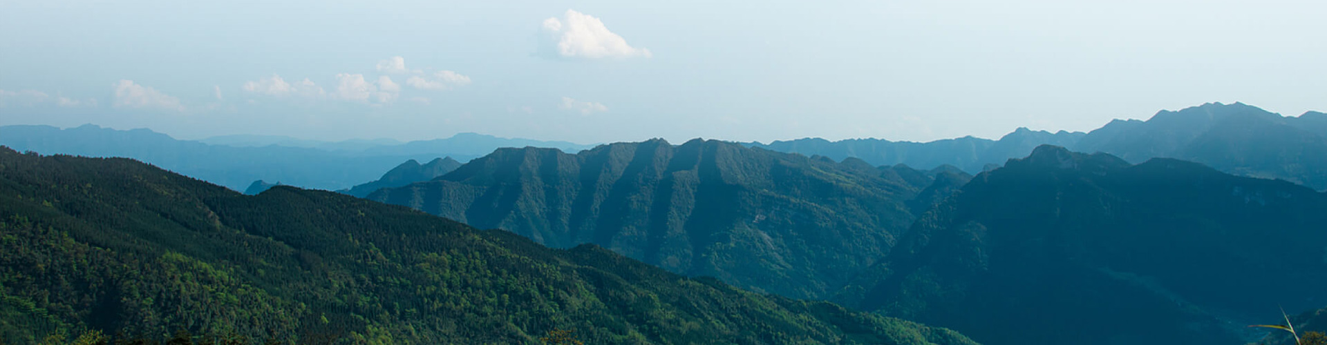 愿景背景