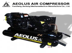 双缸汽油机如何维护